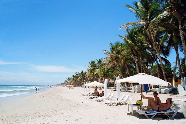 Palm-lined beach on Isla de Margarita